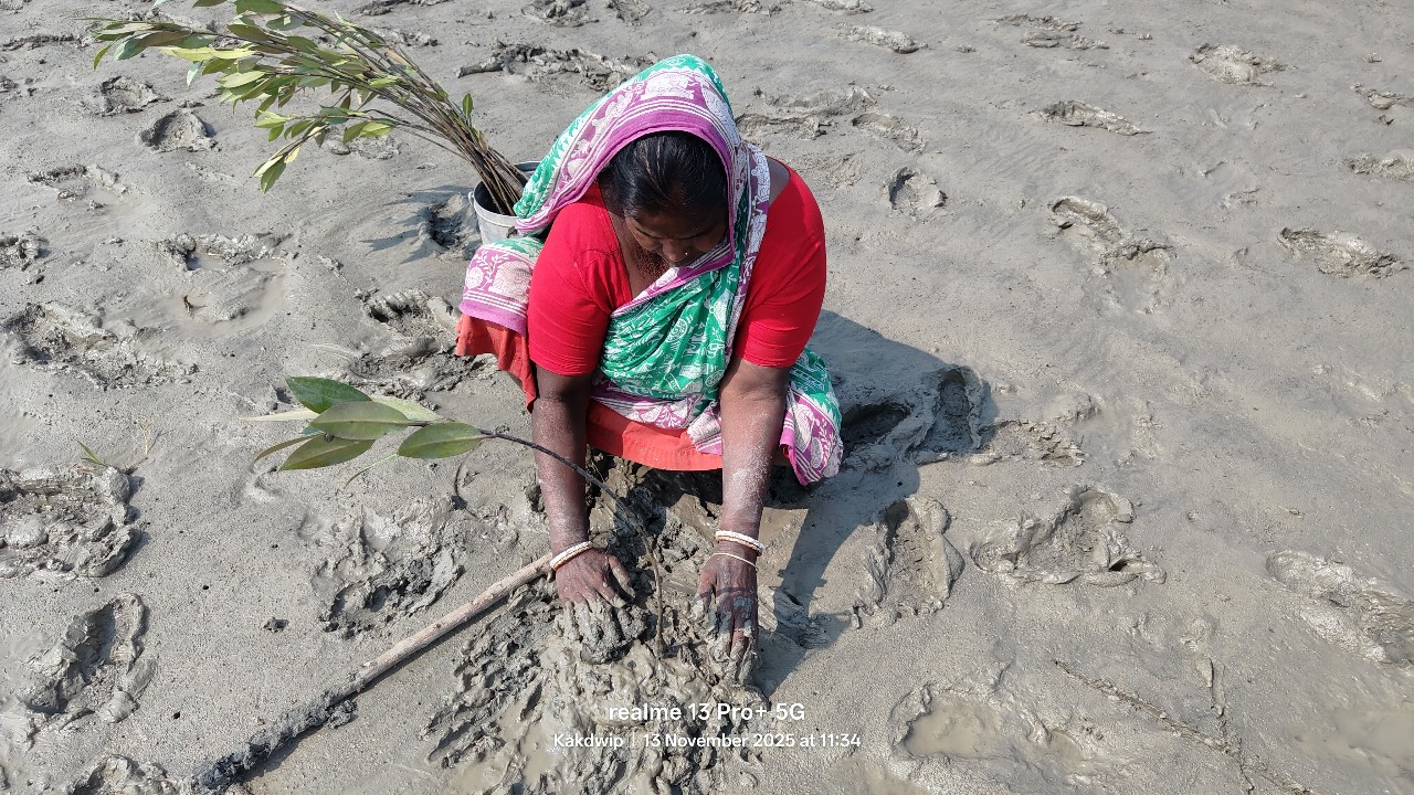 Sundarbans Project I — field photo