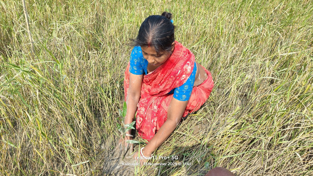 Sundarbans Project II — community photo