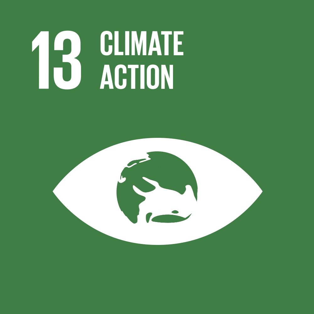 SDG 13: Climate Action