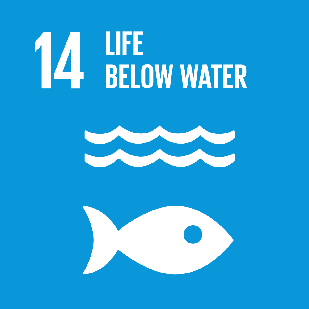 SDG 14: Life Below Water